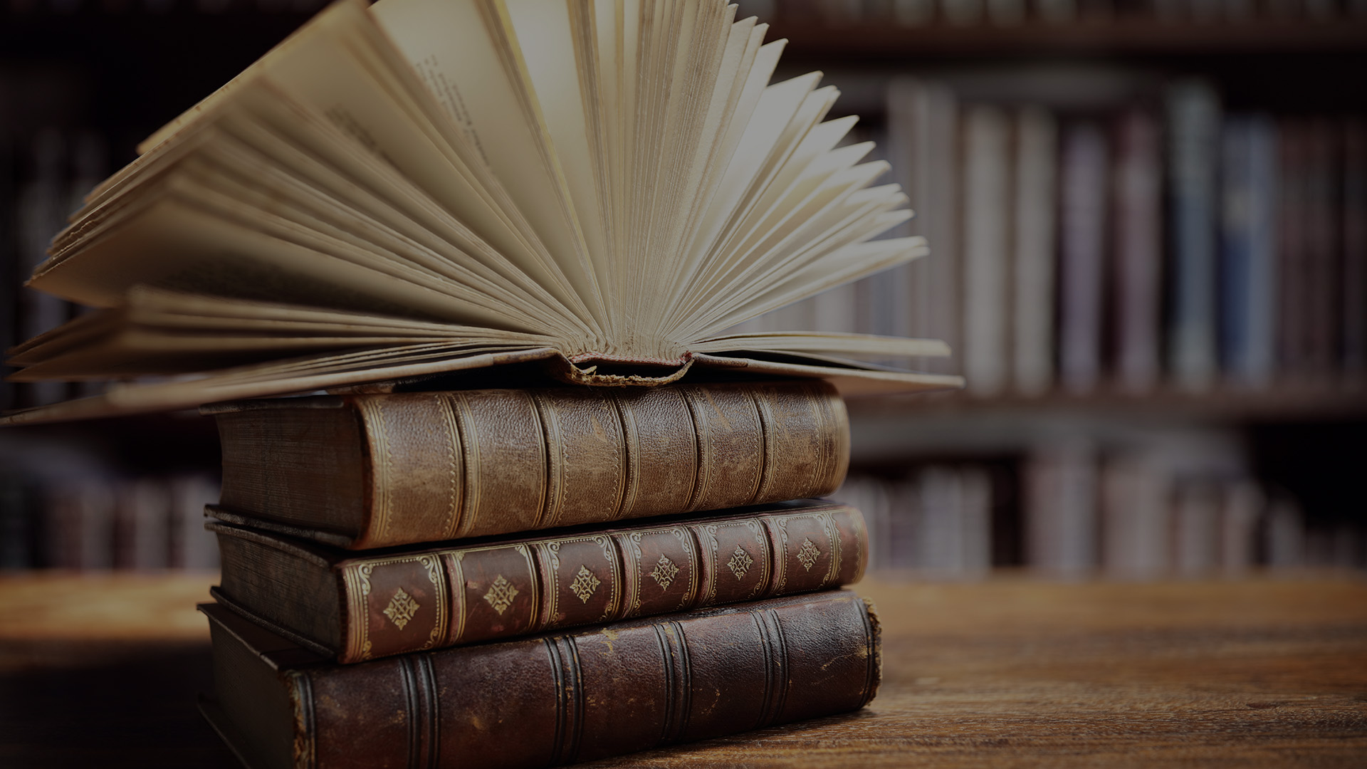 https://www.zwanzig4.media/sites/default/files/revslider/image/1-books-in-library-PSWD2MY.jpg